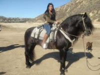 /album/fotogaleria/a15-espa-jpg/